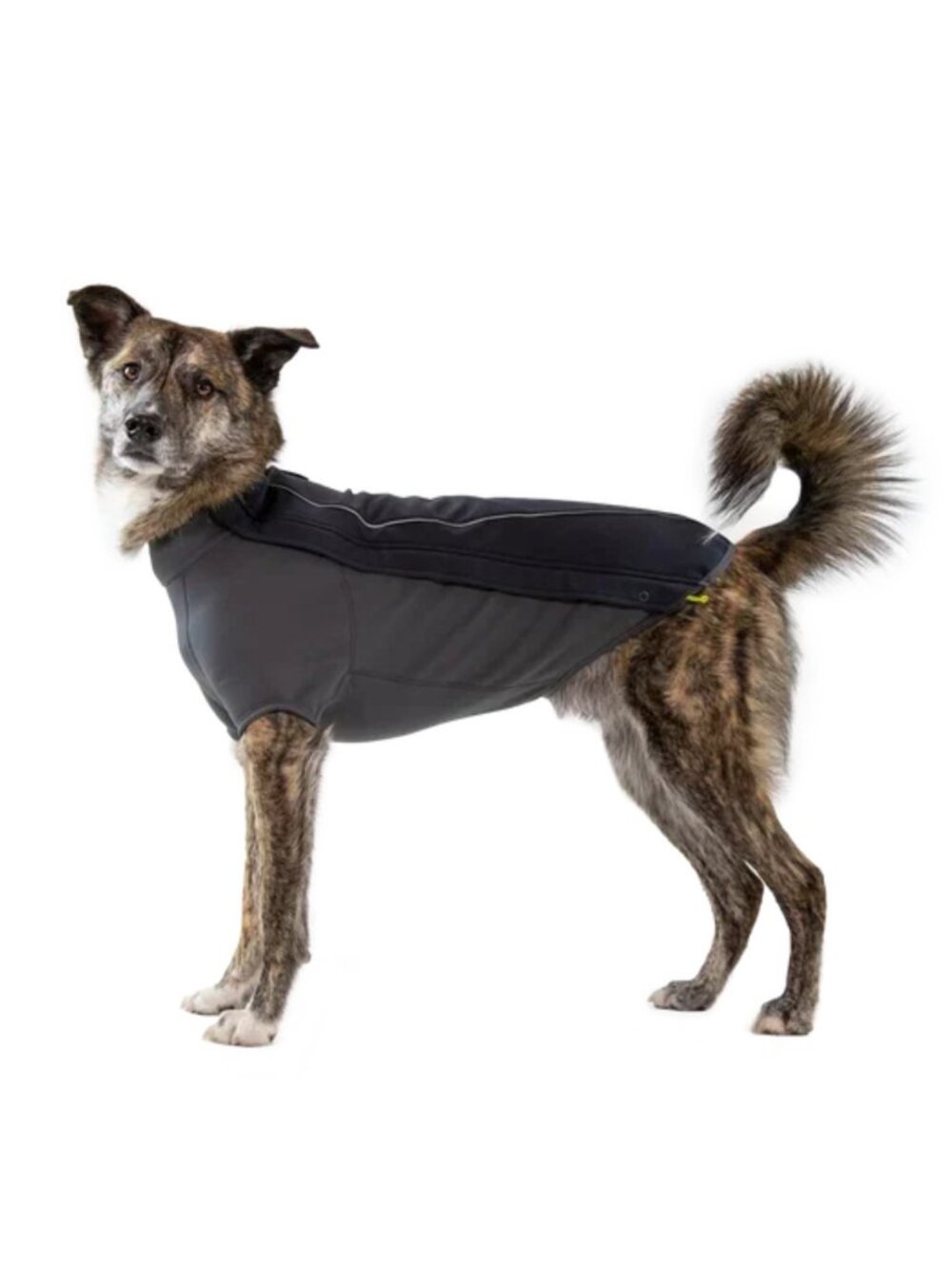 Ruffwear Cloud Chaser™ Dog Jacket Waterproof Softshell Dog Jacket Size XS